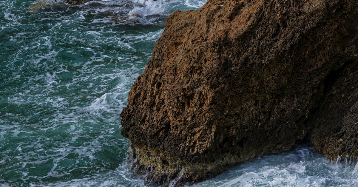 découvrez comment le financement climatique joue un rôle crucial dans la lutte contre le changement climatique. explorez les différentes sources de financement, les initiatives innovantes et l'impact des investissements pour un avenir durable.