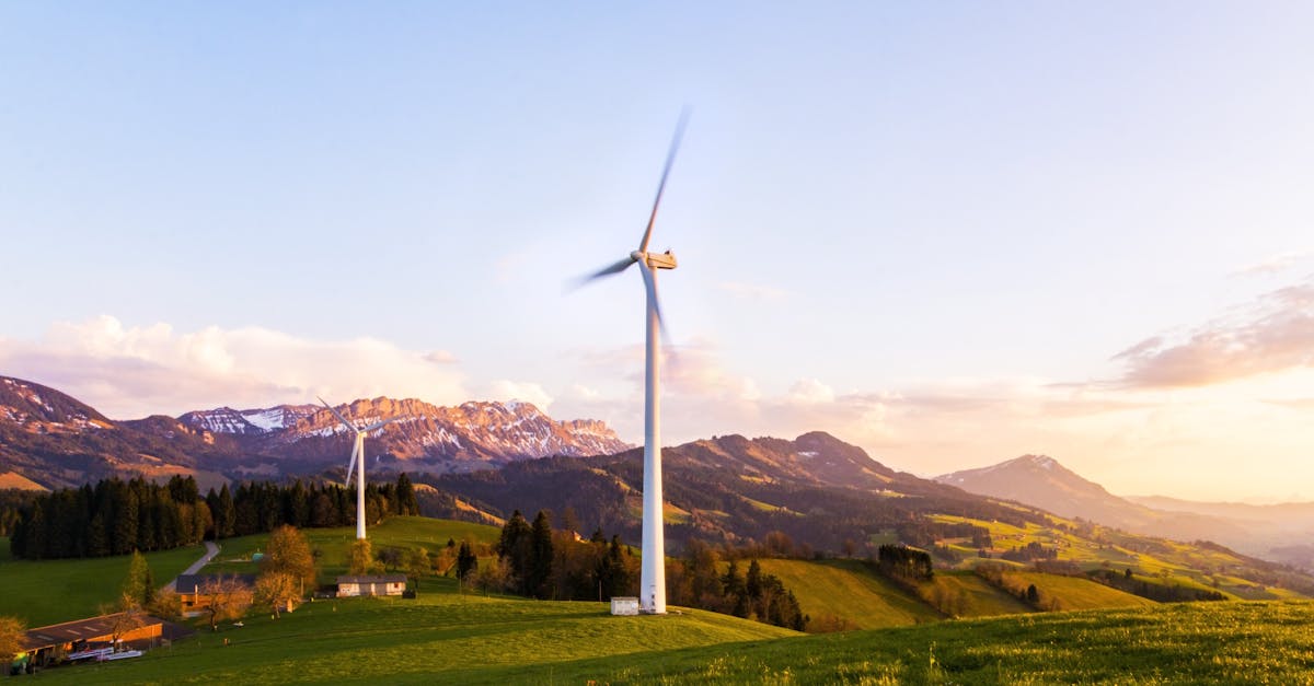découvrez l'importance de la durabilité et comment adopter des pratiques écoresponsables pour un avenir meilleur. explorez des solutions innovantes et des conseils pour vivre en harmonie avec notre planète.