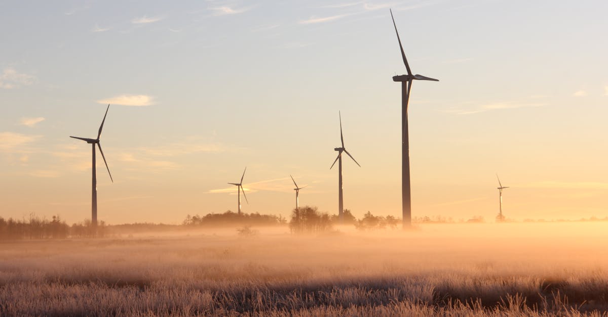 découvrez comment développer vos compétences écologiques pour préserver notre planète. apprenez des pratiques durables et des approches innovantes pour un avenir plus vert.