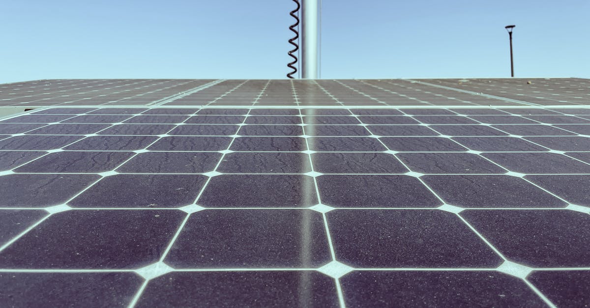 découvrez comment l'innovation durable transforme des idées en solutions écologiques, alliant progrès technologique et responsabilité environnementale. explorez les tendances et initiatives qui façonnent un avenir durable.