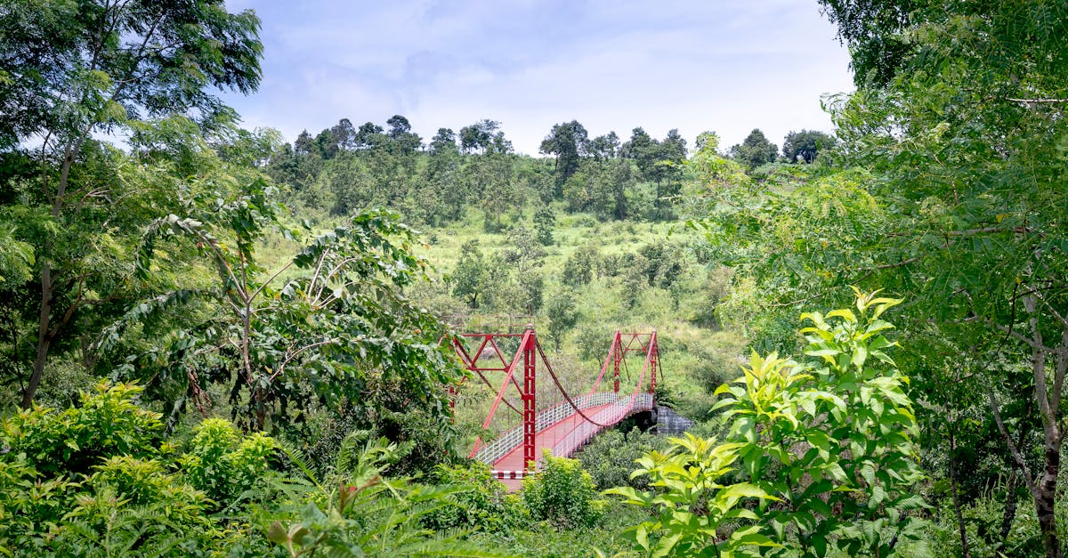 découvrez l'écological bridge, une solution innovante alliant design durable et respect de l'environnement. explorez comment cette structure favorise la biodiversité et réduit l'empreinte carbone tout en améliorant les déplacements et la connectivité entre les espaces naturels.
