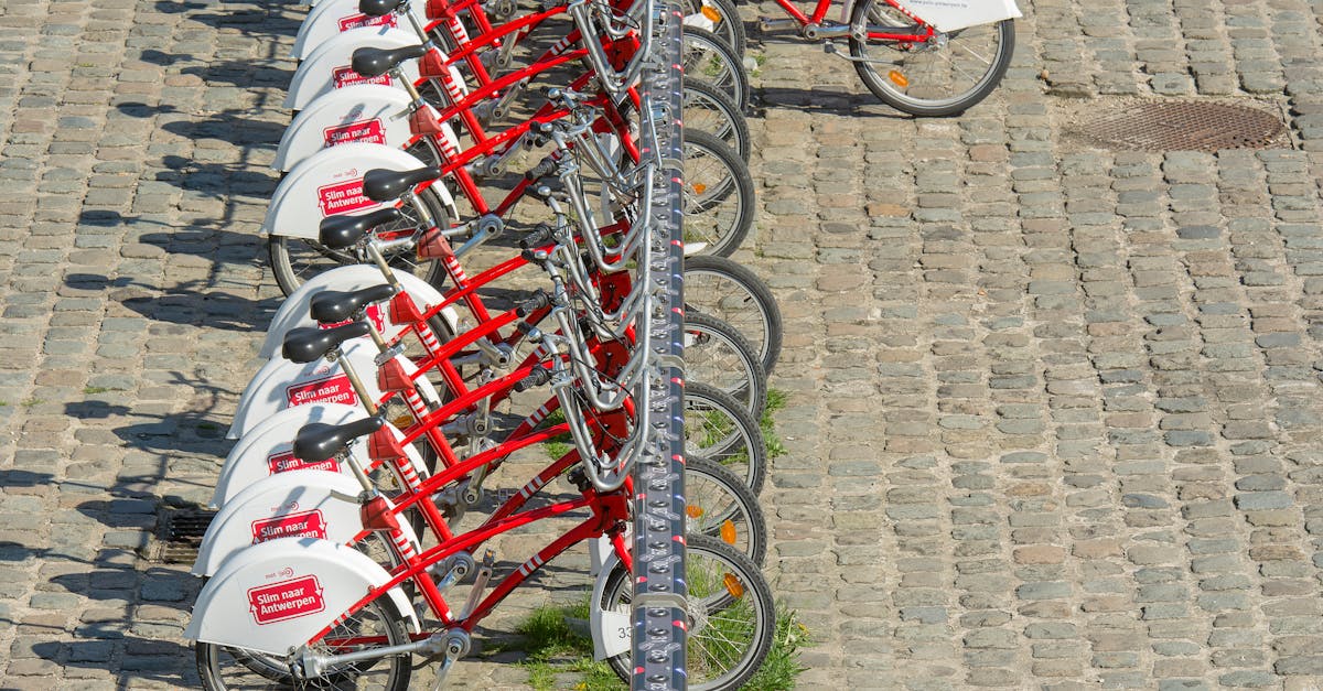 découvrez les enjeux de la mobilité durable et les solutions innovantes pour un transport respectueux de l'environnement. explorez comment adopter des pratiques écoresponsables pour un avenir plus vert.