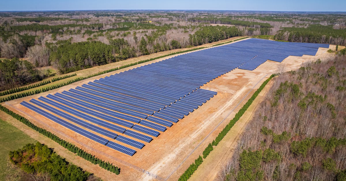découvrez comment réduire votre empreinte carbone et contribuer à la protection de l'environnement. apprenez des astuces pratiques et des stratégies pour minimiser l'impact de vos activités quotidiennes sur la planète.