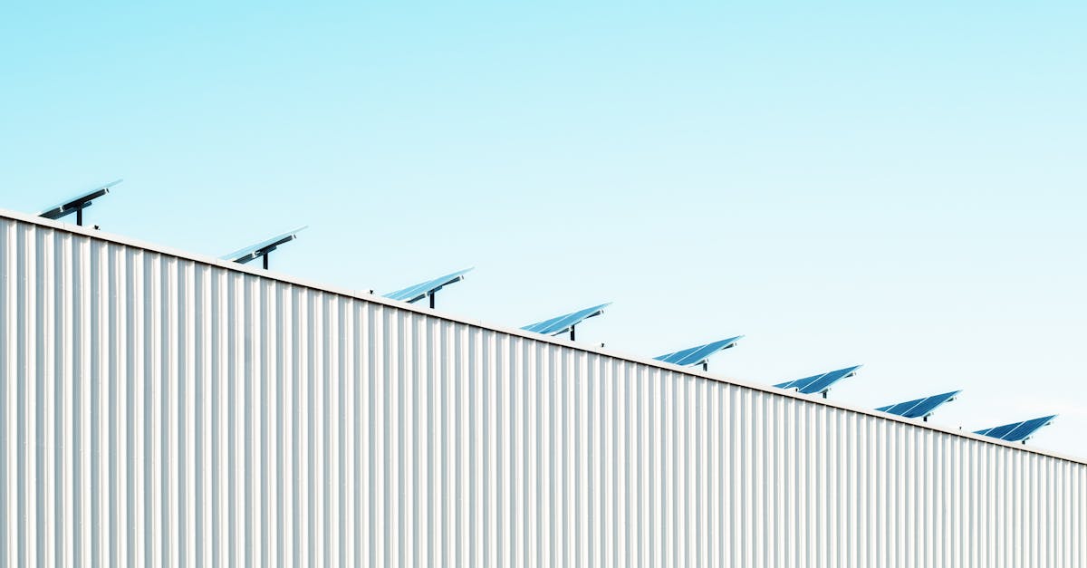 découvrez l'importance de la durabilité et de la responsabilité environnementale. apprenez comment adopter des pratiques durables pour préserver notre planète pour les générations futures.