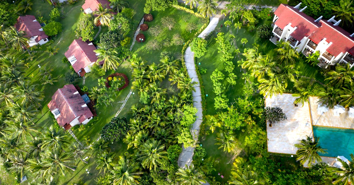 découvrez des hébergements durables qui allient confort et respect de l'environnement. optez pour un séjour écologique tout en profitant de paysages magnifiques et d'expériences authentiques.