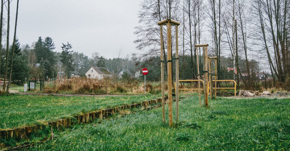 découvrez les fonds verts, des investissements durables qui visent à financer des projets écologiques et responsables. redéfinissez votre portefeuille tout en contribuant à un avenir plus vert.
