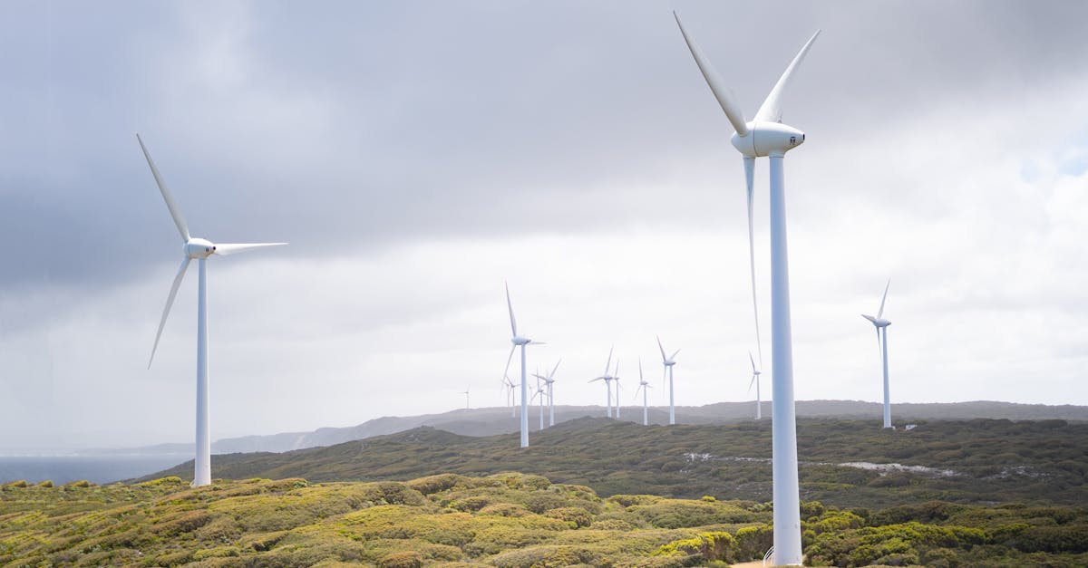découvrez les avantages des énergies renouvelables, un enjeu crucial pour un avenir durable. informez-vous sur les différentes sources d'énergie renouvelable, leur impact sur l'environnement et comment elles peuvent transformer notre mode de vie.