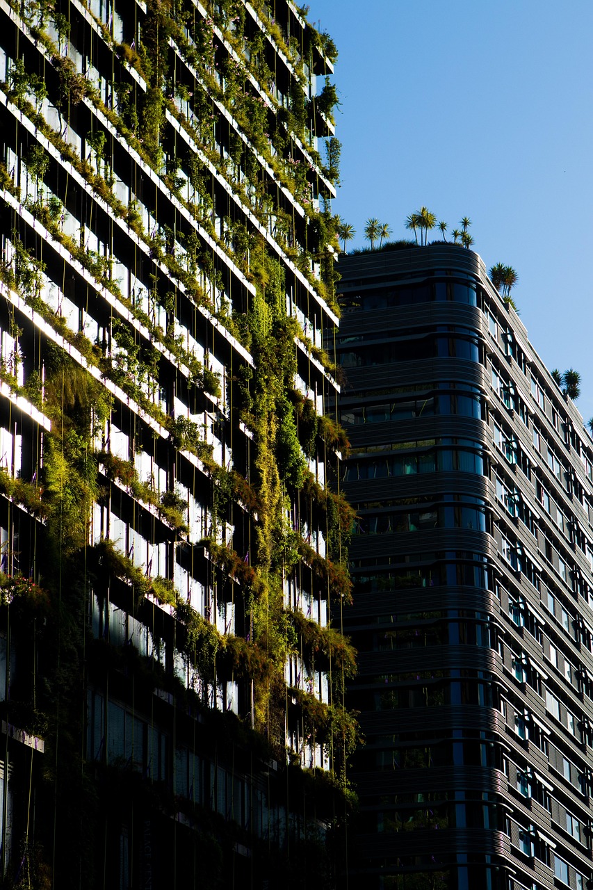 découvrez des pratiques, produits et conseils pour adopter un mode de vie durable, respectueux de l’environnement et bénéfique pour la planète. adoptez le changement dès aujourd’hui !