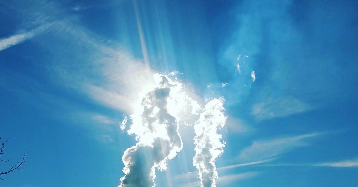 découvrez les causes, les effets et les solutions face à la pollution qui menace notre environnement. informez-vous sur les différents types de pollution, des astuces pour réduire votre empreinte écologique et les initiatives à prendre pour un avenir plus sain.