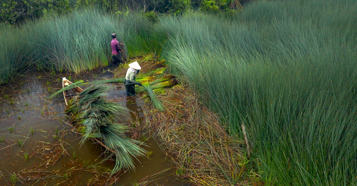 découvrez l'importance de la gestion durable de l'eau, essentielle pour préserver nos ressources aquatiques et garantir un avenir environnemental sain. apprenez des stratégies innovantes et des pratiques efficaces pour optimiser l'utilisation de l'eau tout en protégeant notre planète.