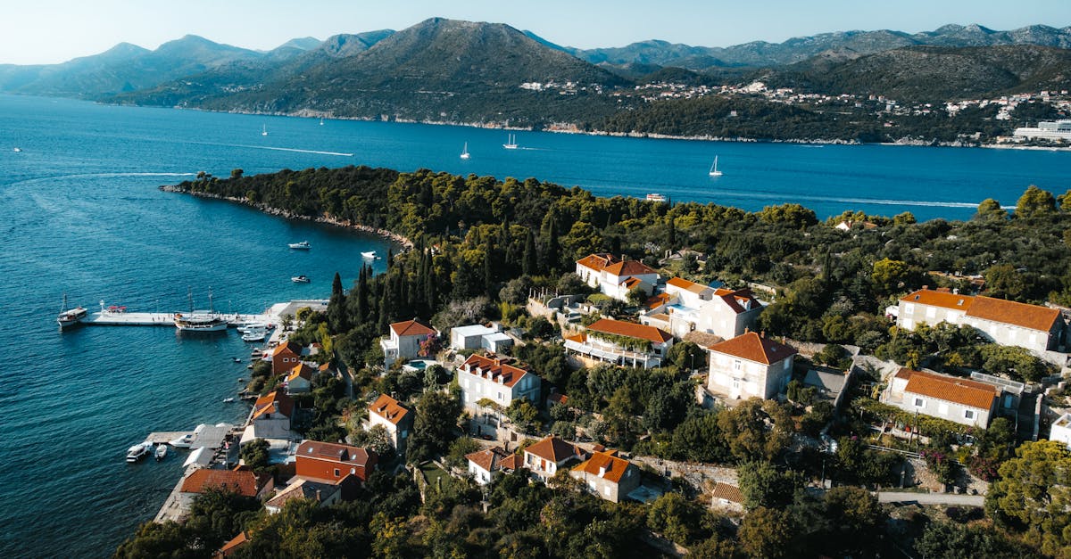 découvrez les enjeux et les opportunités de l'économie bleue, un modèle économique durable qui valorise les ressources maritimes tout en préservant l'environnement. apprenez comment les innovations et les pratiques responsables peuvent soutenir la croissance économique tout en protégeant nos océans.