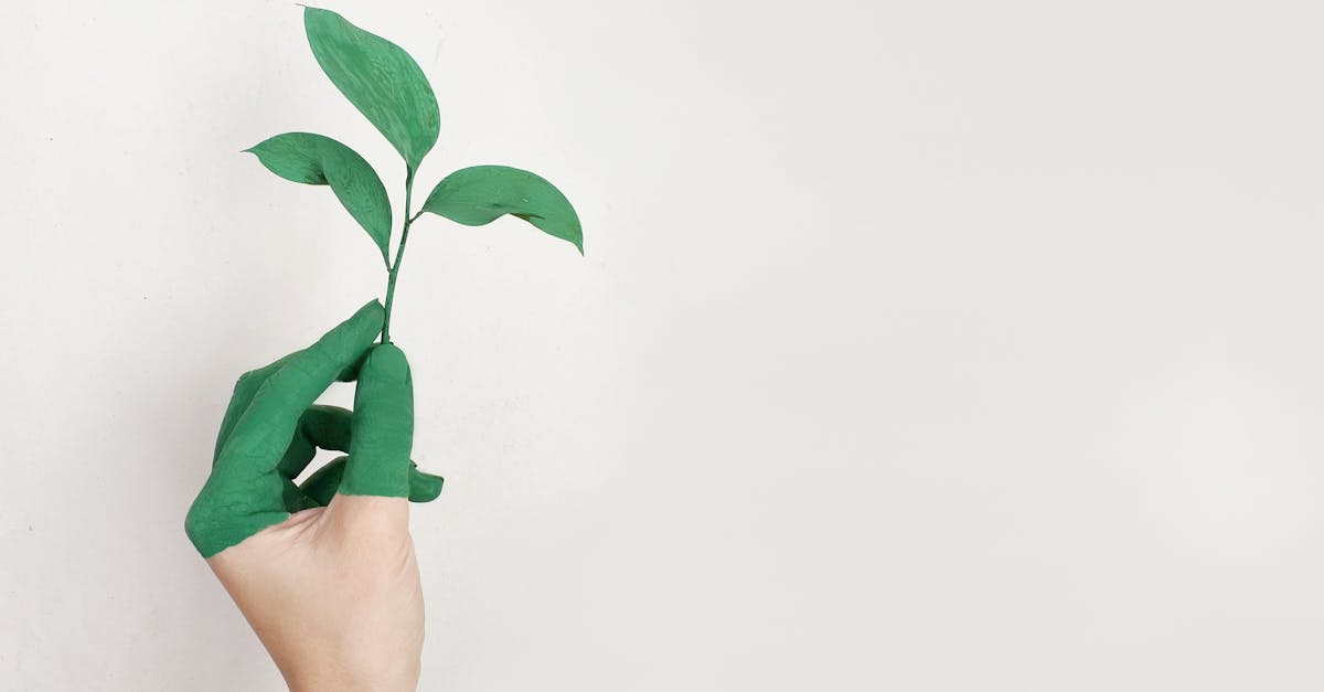Durabilité : Comment adopter un mode de vie écoresponsable au quotidien