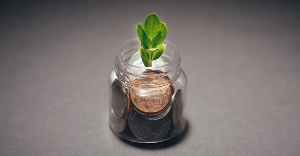 Croissance verte : Les clés pour un avenir durable et respectueux de l’environnement