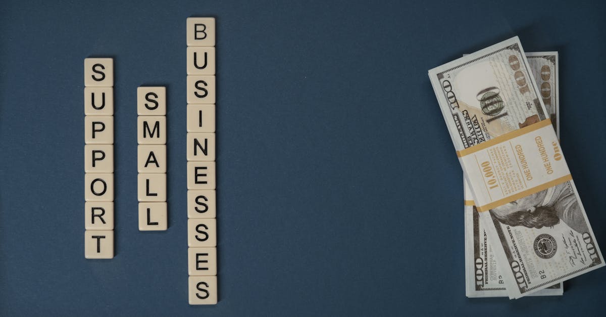 Investissements verts : comprendre l’importance de la finance durable