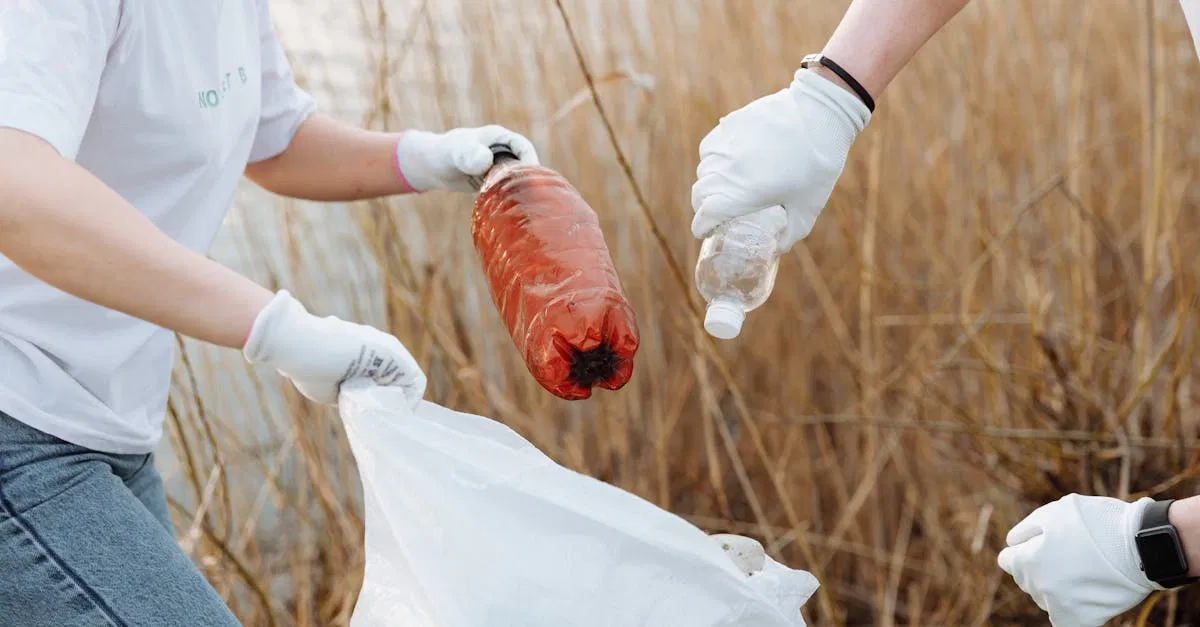 Réduction de l’usage de plastique : des solutions innovantes pour un avenir durable