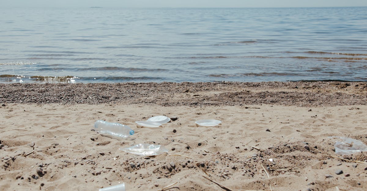 Eau durable : stratégies innovantes pour une gestion responsable des ressources hydriques