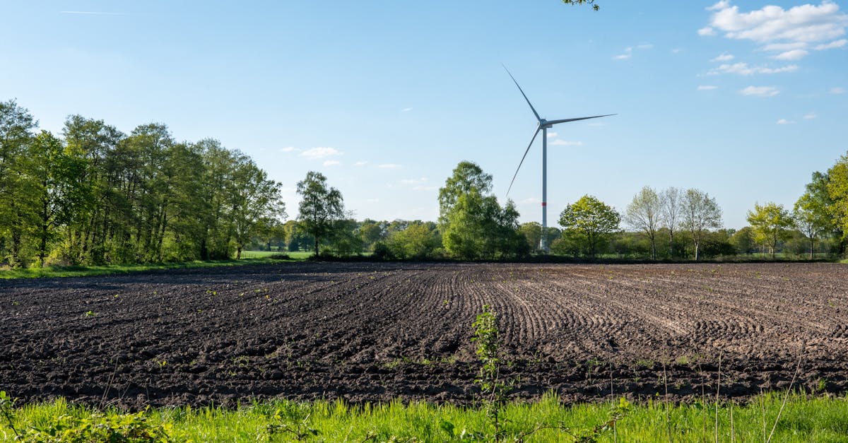 Plan d’action climatique : stratégies pour un avenir durable