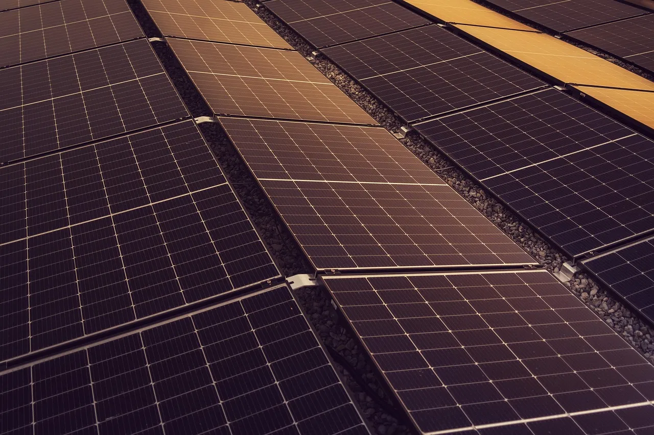 S’engager pour la préservation de notre planète
