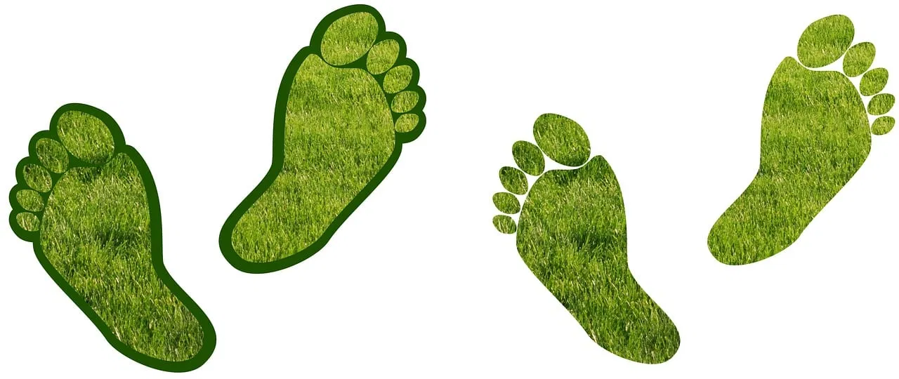 Évaluez votre impact environnemental : calculez votre empreinte carbone dès aujourd’hui