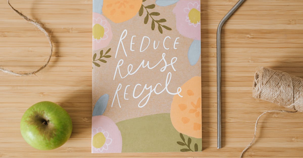 Réduction de l’empreinte écologique : 10 conseils pratiques pour un mode de vie durable
