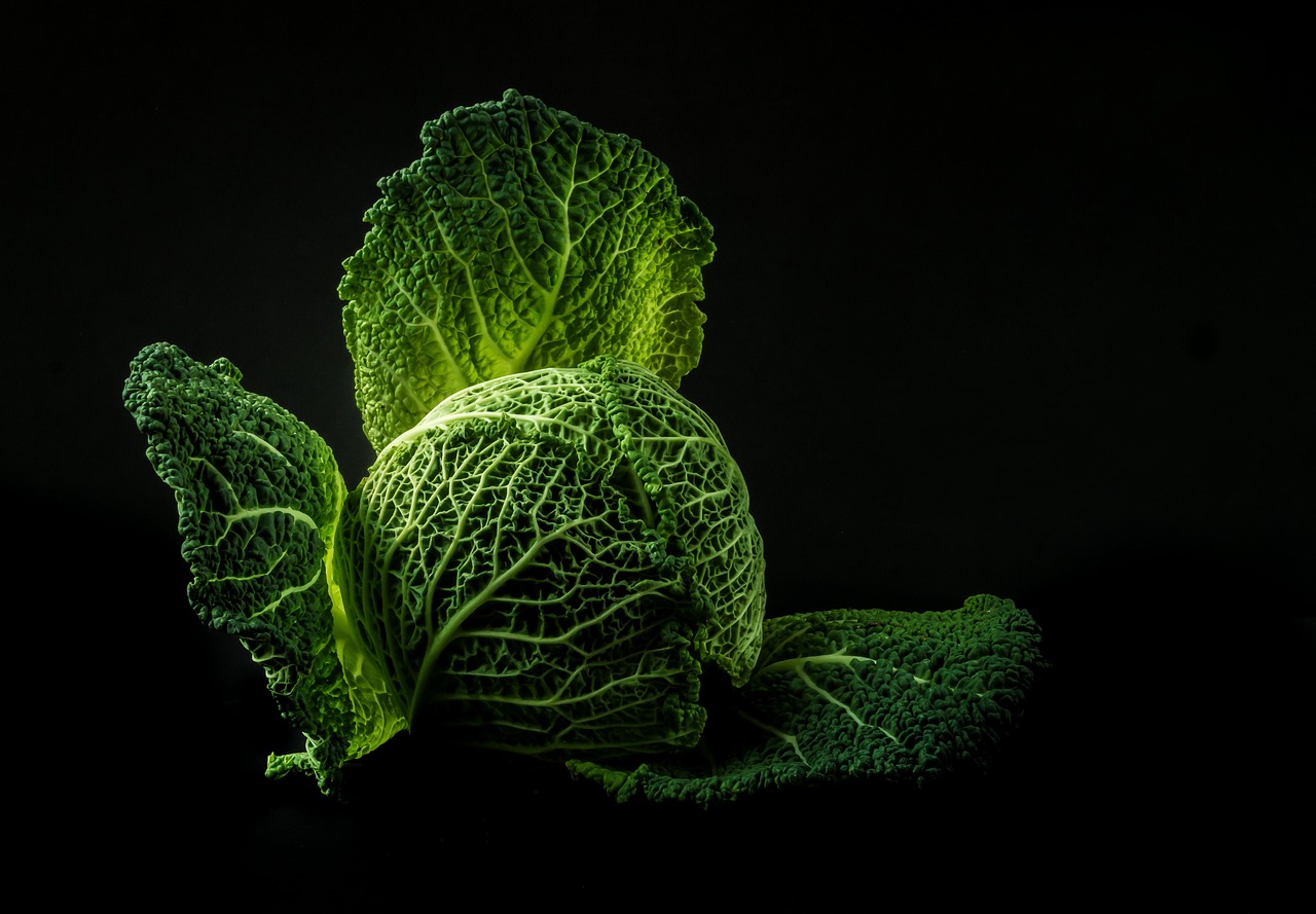 Aucune prime verte accordée aux agriculteurs favorisant un meilleur bilan carbone