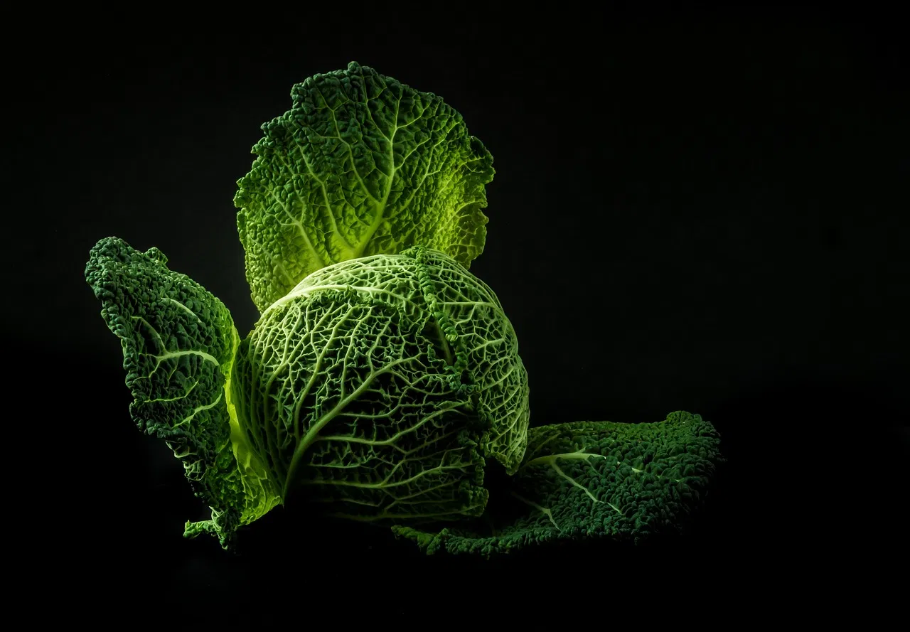 Aucune prime verte accordée aux agriculteurs favorisant un meilleur bilan carbone