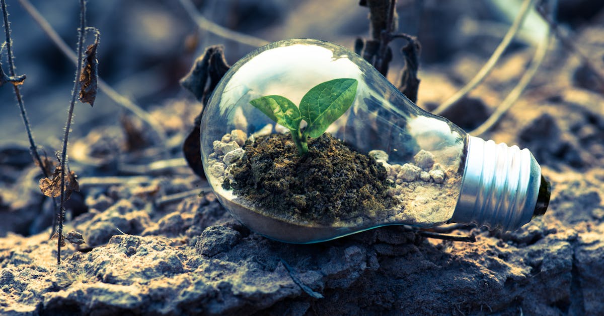 Énergie renouvelable : les solutions innovantes pour un avenir durable