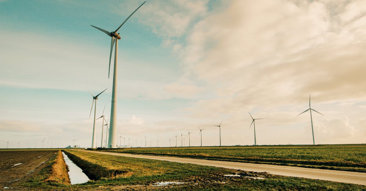 Réseau d’infrastructure verte : Vers une ville durable et respectueuse de l’environnement