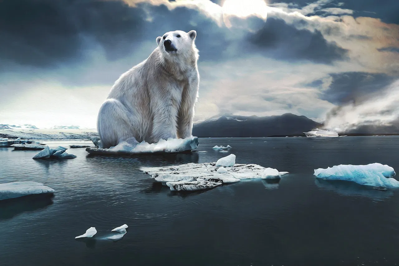Changements climatiques : stratégies locales pour agir efficacement