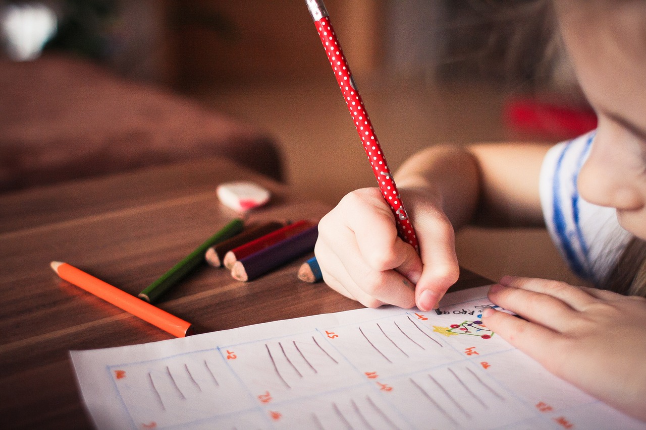 Le rôle de l’éducation dans la réduction du bilan carbone