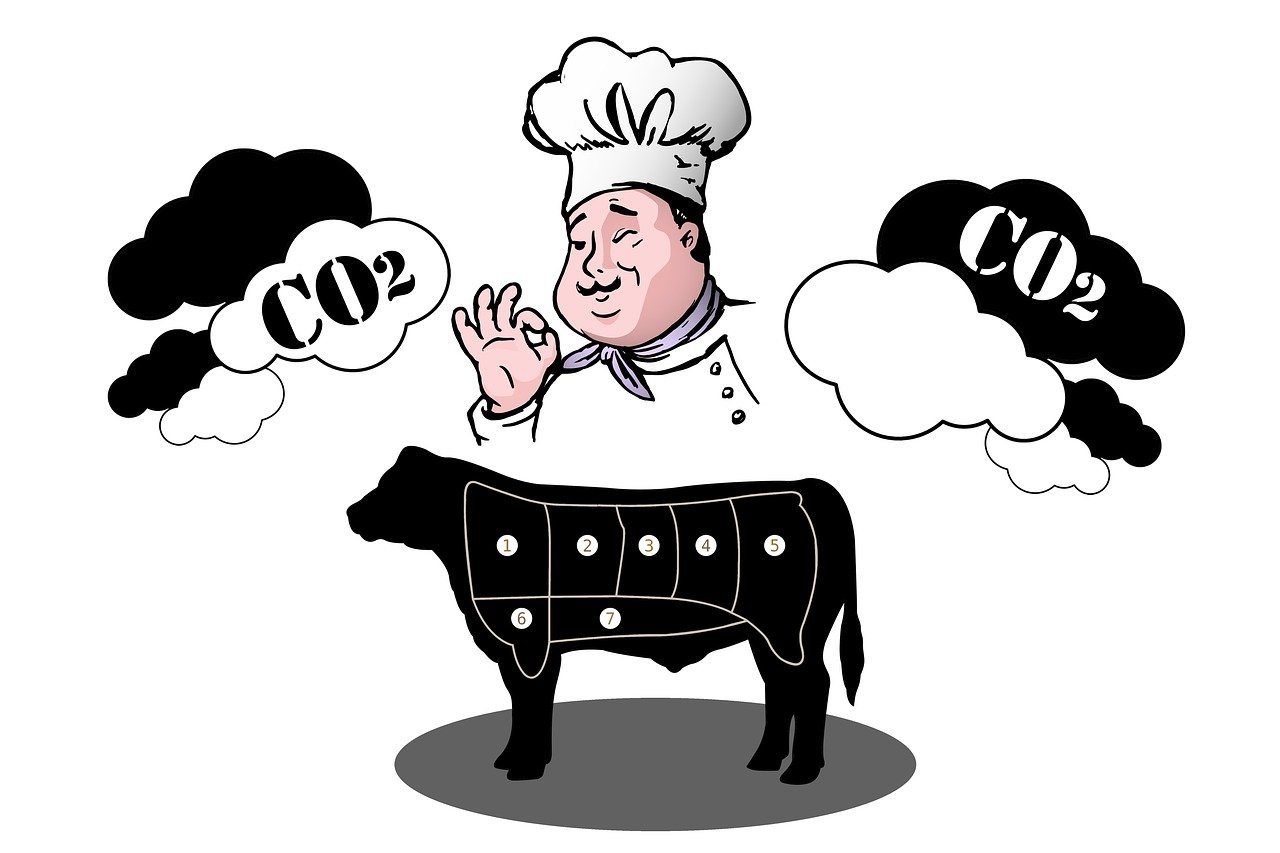 Le bilan carbone : un outil clé pour l’économie circulaire