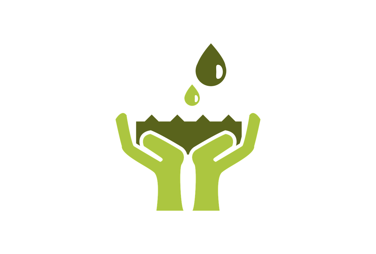 Adoptez 12 résolutions écologiques faciles pour diminuer votre empreinte carbone en 2025 : de petits gestes pour un grand changement.