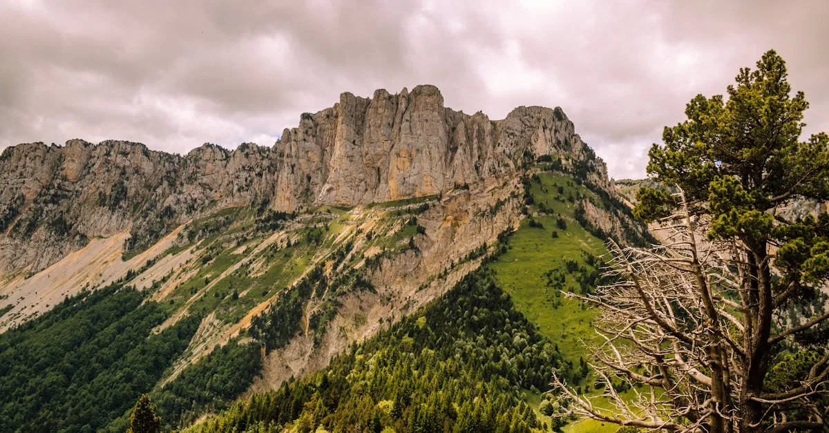 Gardes forestiers : le rôle essentiel des protecteurs de nos forêts