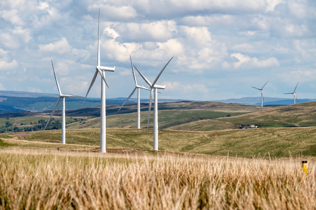 Énergies renouvelables : un pas vers un bilan carbone neutre