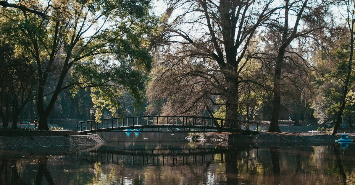 Passerelle écologique : la solution durable pour connecter la nature et l’urbanisme