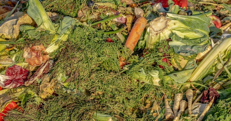 Comment recycler déchets organiques appartement : 7 astuces simples