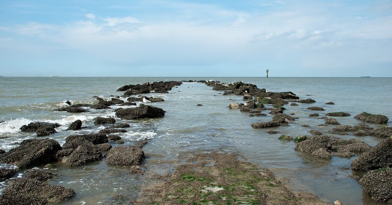 Comment les villes côtières réinventent leur adaptation à la montée des eaux