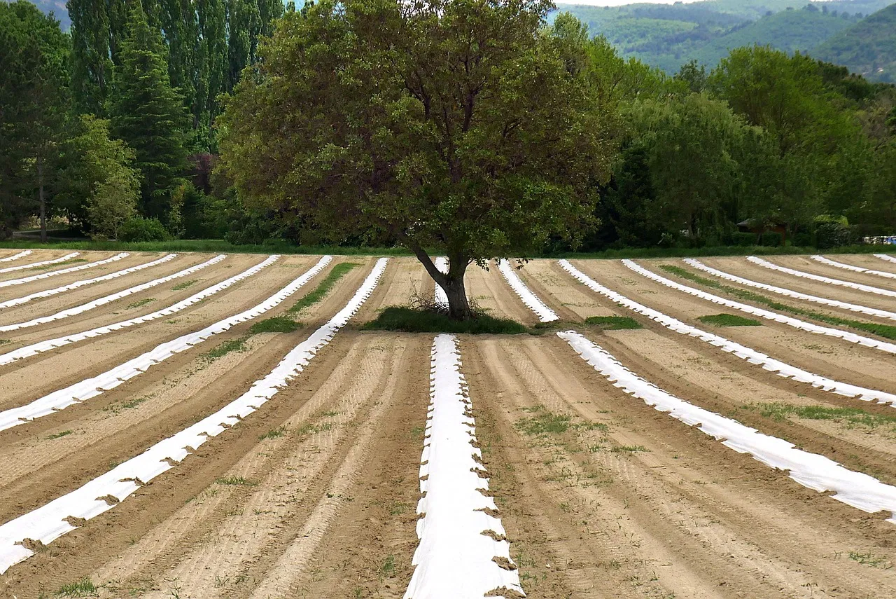 La place de l’agroécologie dans la gestion du bilan carbone
