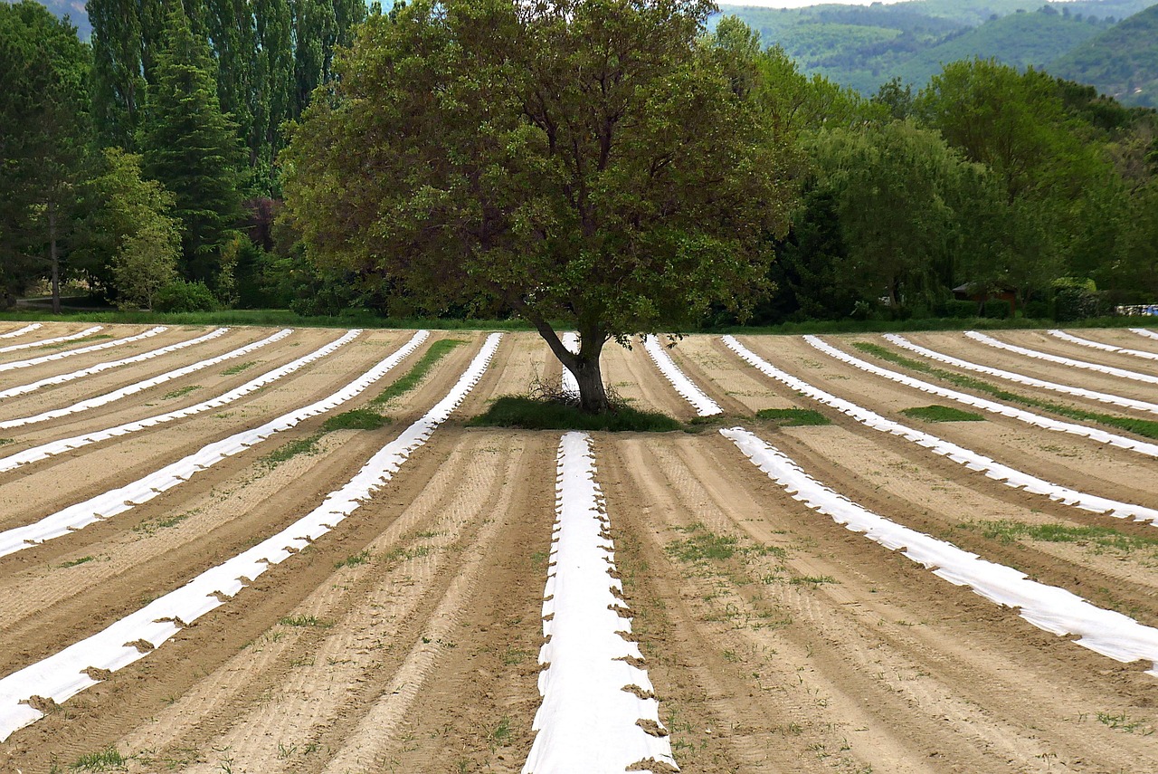 La place de l’agroécologie dans la gestion du bilan carbone
