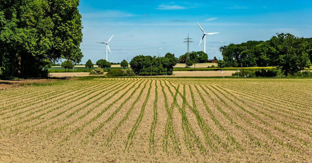 Démarche de développement durable : Comment mettre en place des pratiques éco-responsables