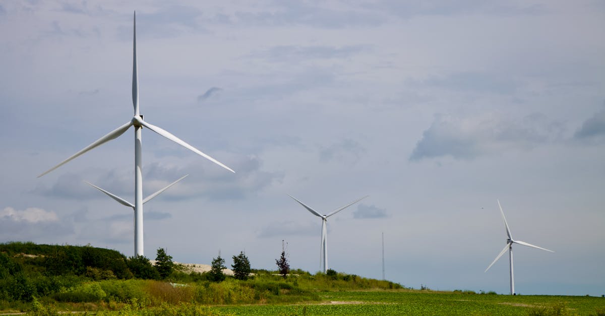 Efficacité énergétique : 5 astuces pour réduire vos factures d’énergie