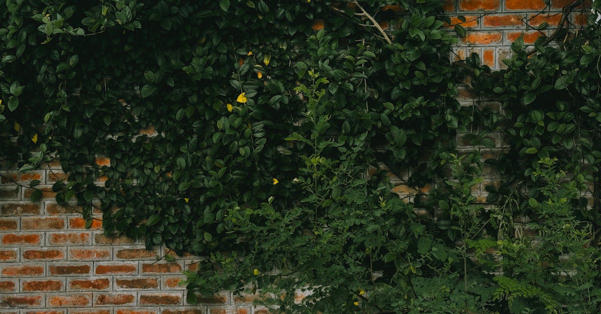 Favoriser l’environnement : 5 gestes simples pour un quotidien éco-responsable