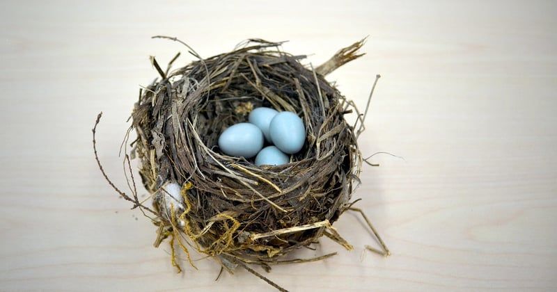 Économie circulaire en entreprise : 7 exemples concrets qui marchent