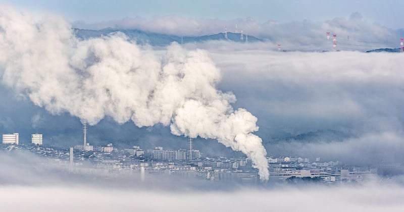 Impact changement climatique biodiversité urbaine solutions