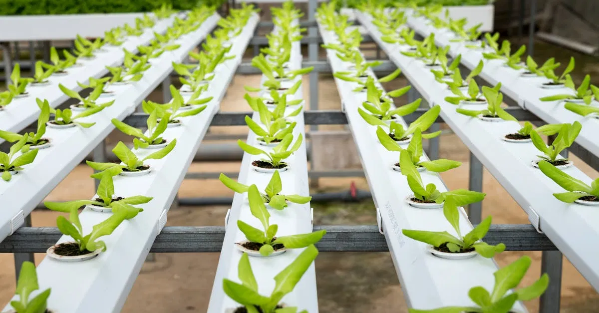 Innovation durable : Les solutions écologiques qui transforment notre avenir