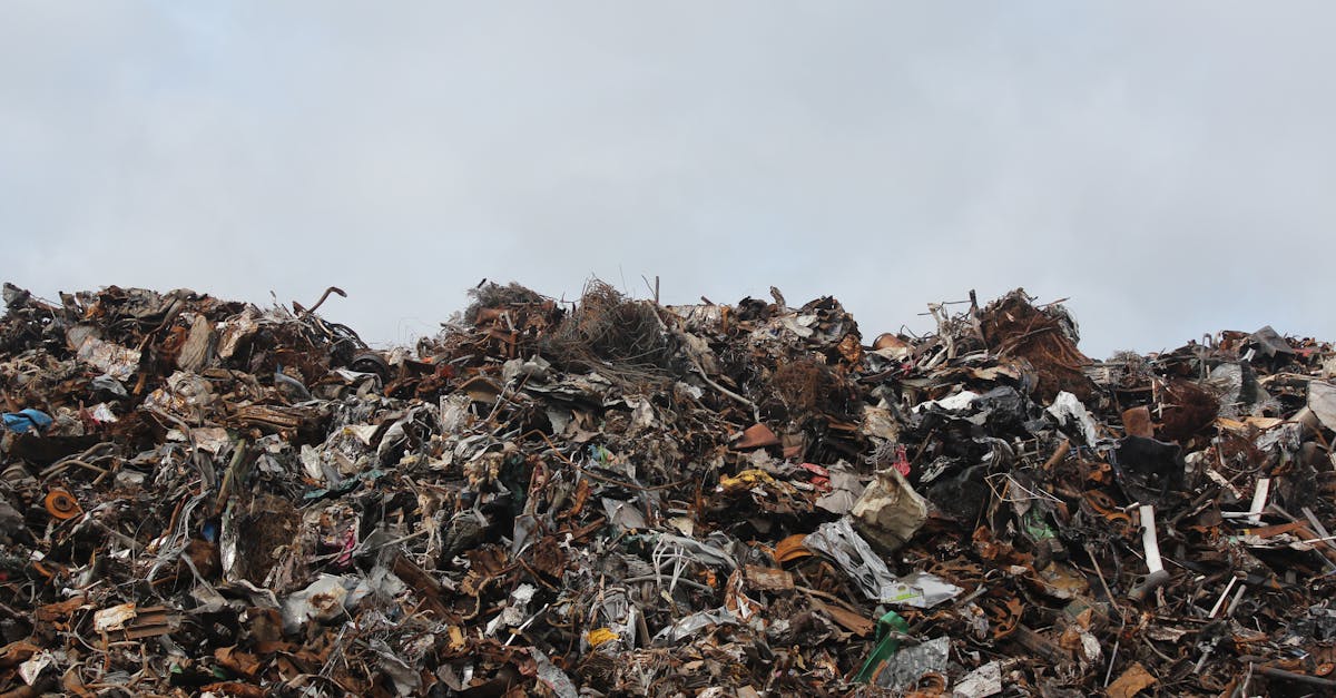 Valorisation des déchets : enjeux et solutions pour un avenir durable