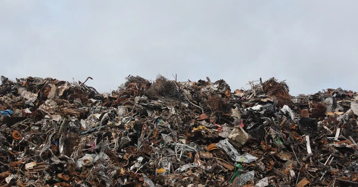 Système de gestion des déchets : optimiser le tri et le recyclage pour un avenir durable