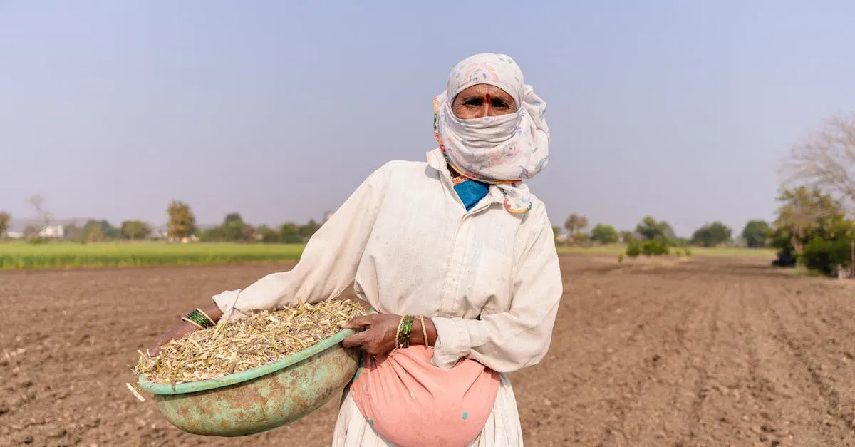Adaptation climatique : stratégies innovantes pour un avenir résilient