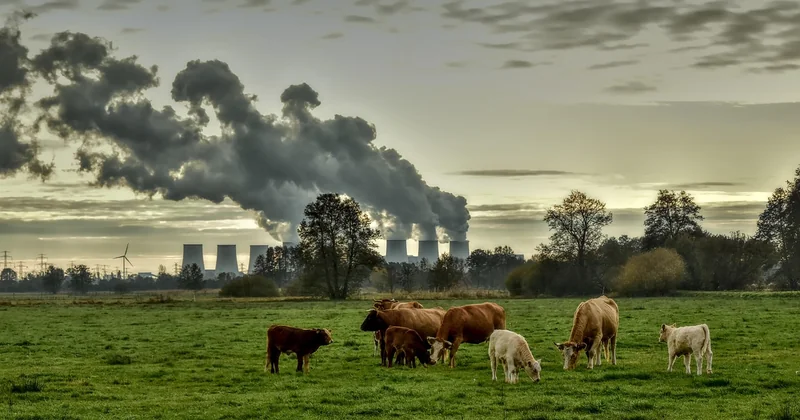Atténuer, c'est-à-dire réduire les émissions de l'agriculture elle-même