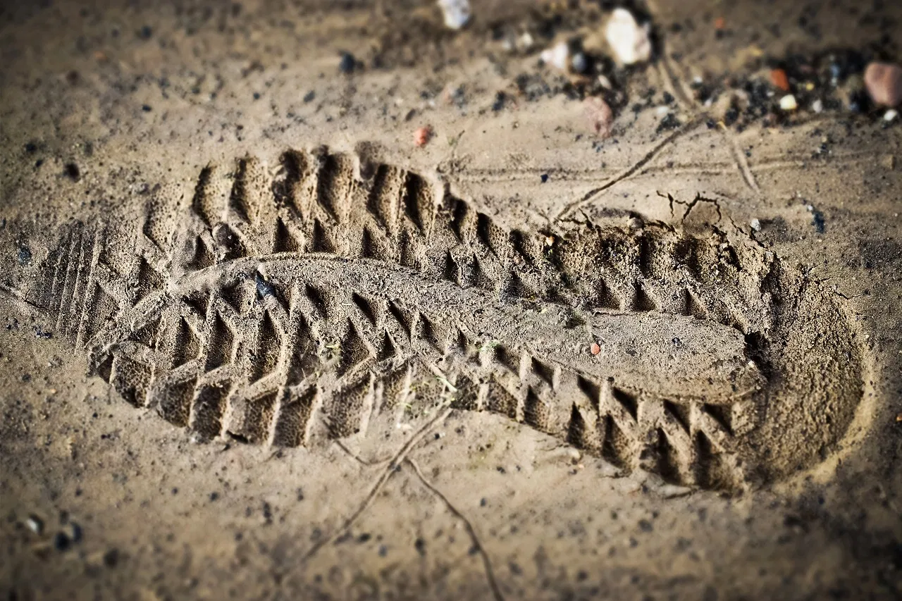 L’outil Nos Gestes Climat de l’ADEME se réforme : découvrez son calculateur d’empreinte écologique individuelle